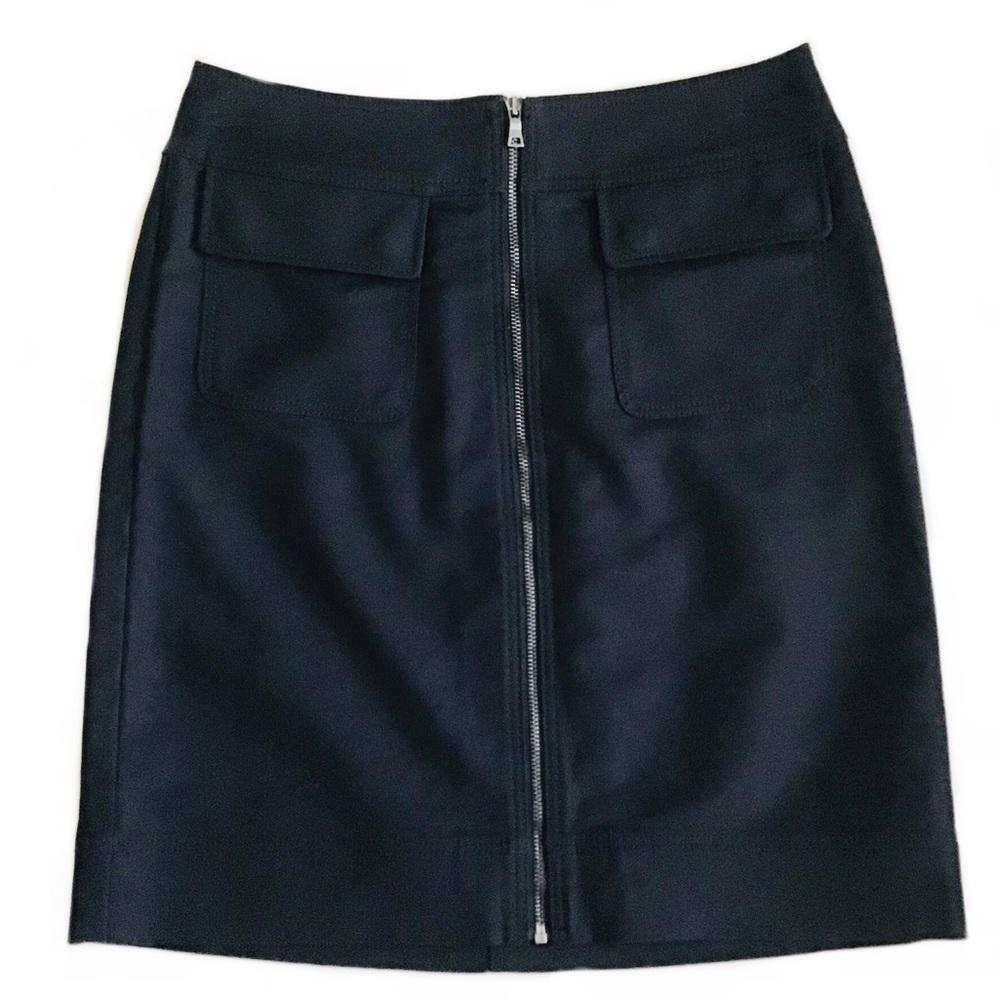 Ann Taylor Skirt (00/Petite)